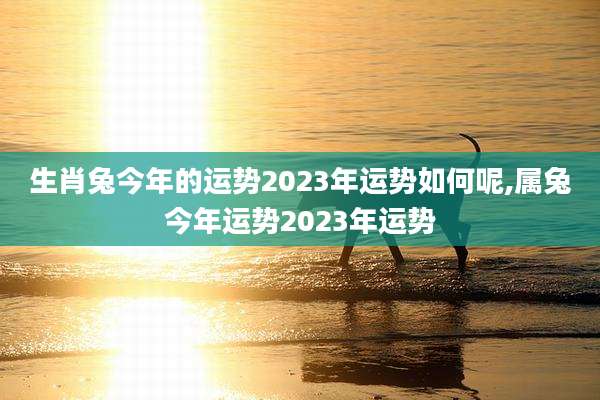 生肖兔今年的运势2023年运势如何呢,属兔今年运势2023年运势