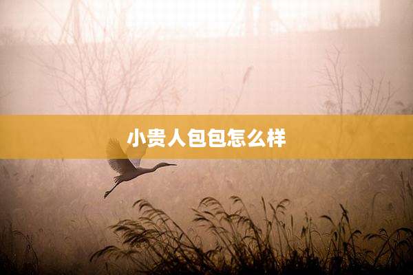 小贵人包包怎么样