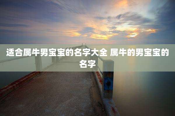 适合属牛男宝宝的名字大全 属牛的男宝宝的名字