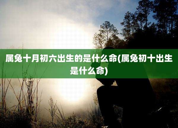 属兔十月初六出生的是什么命(属兔初十出生是什么命)