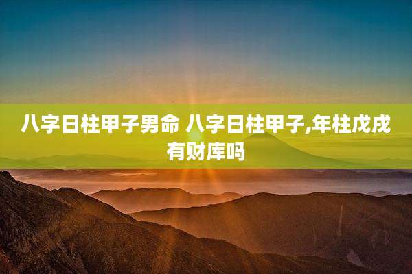 八字日柱甲子男命 八字日柱甲子,年柱戊戌有财库吗