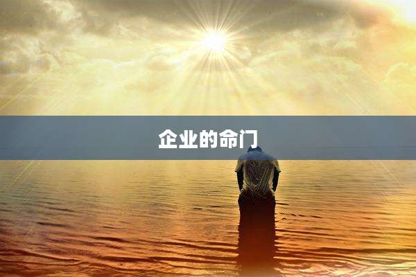 企业的命门
