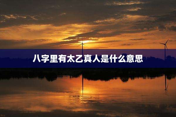 八字里有太乙真人是什么意思