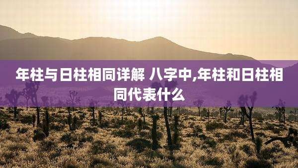 年柱与日柱相同详解 八字中,年柱和日柱相同代表什么