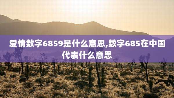 爱情数字6859是什么意思,数字685在中国代表什么意思
