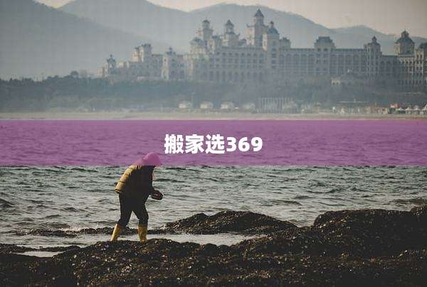 搬家选369