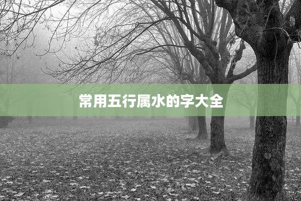 常用五行属水的字大全