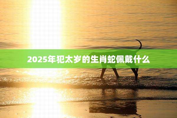2025年犯太岁的生肖蛇佩戴什么