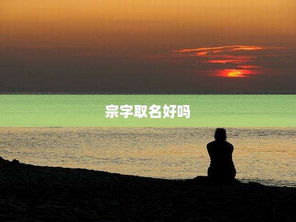 宗字取名好吗