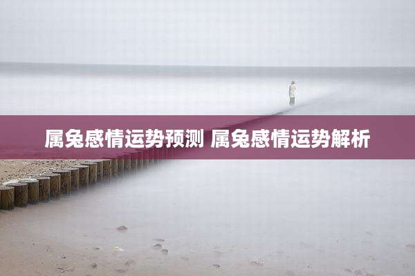 属兔感情运势预测 属兔感情运势解析