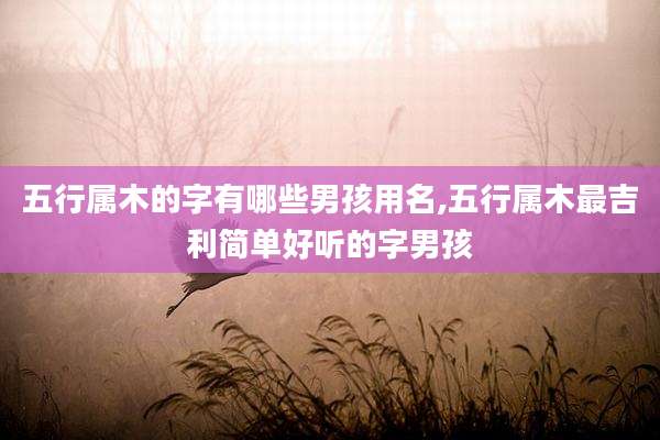 五行属木的字有哪些男孩用名,五行属木最吉利简单好听的字男孩