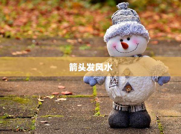 箭头发风水