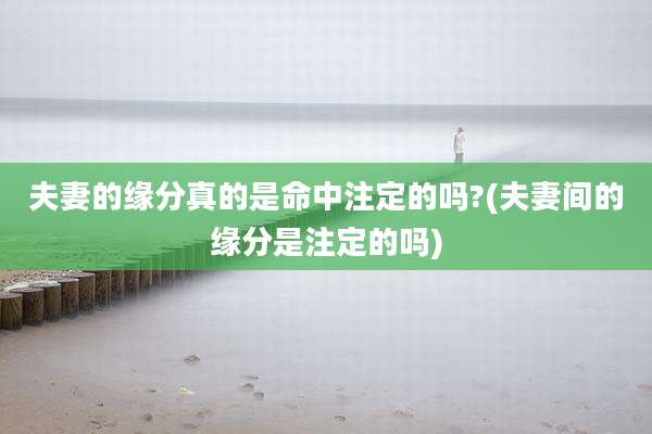 夫妻的缘分真的是命中注定的吗?(夫妻间的缘分是注定的吗)