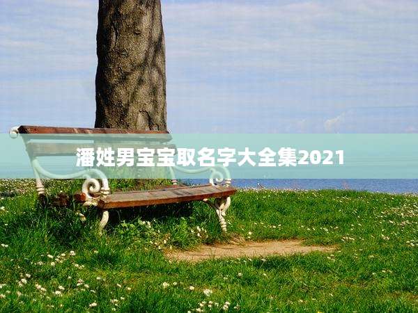 潘姓男宝宝取名字大全集2021