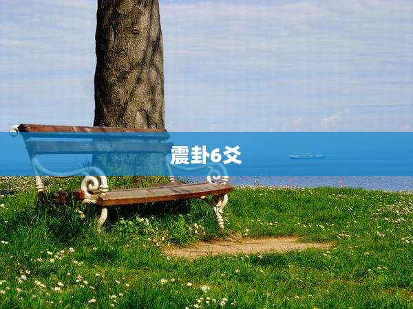 震卦6爻