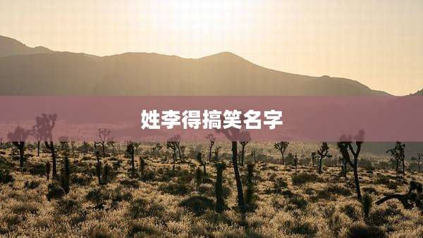 姓李得搞笑名字