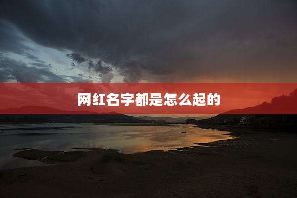 网红名字都是怎么起的