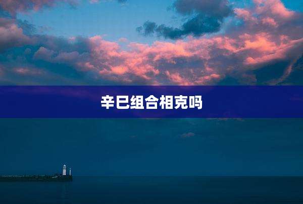 辛巳组合相克吗