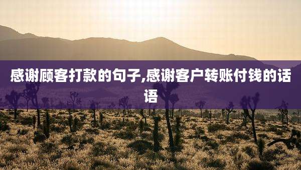 感谢顾客打款的句子,感谢客户转账付钱的话语