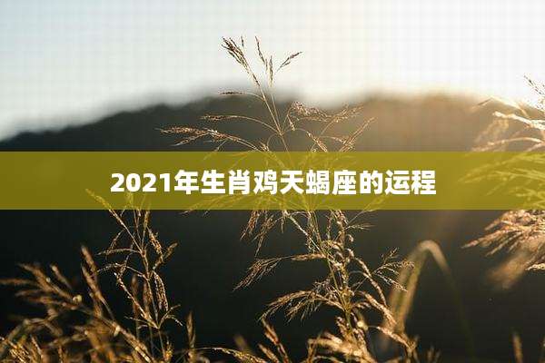 2021年生肖鸡天蝎座的运程