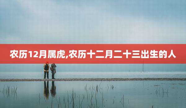 农历12月属虎,农历十二月二十三出生的人