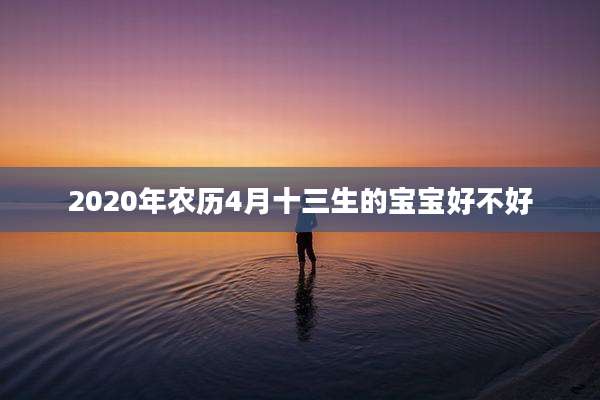 2020年农历4月十三生的宝宝好不好