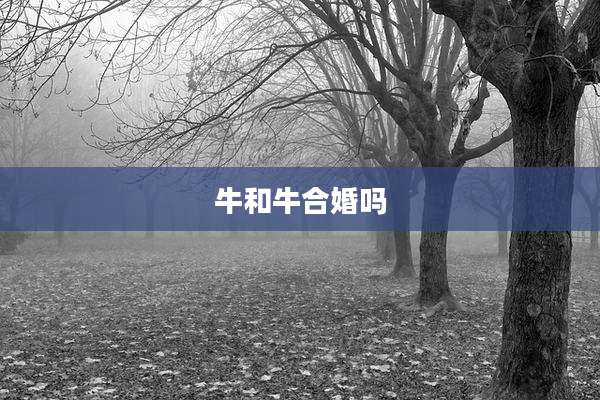 牛和牛合婚吗