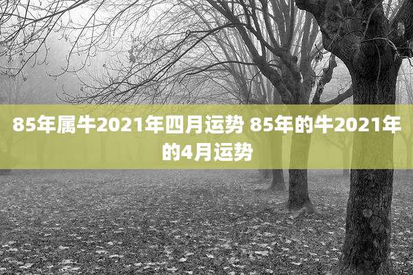 85年属牛2021年四月运势 85年的牛2021年的4月运势