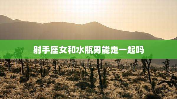射手座女和水瓶男能走一起吗