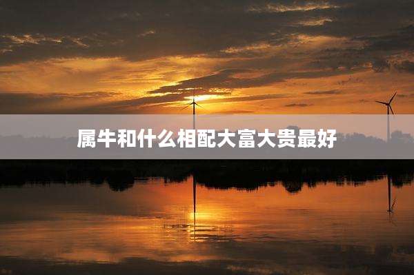 属牛和什么相配大富大贵最好