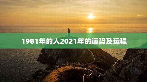 1981年的人2021年的运势及运程