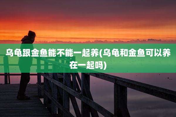 乌龟跟金鱼能不能一起养(乌龟和金鱼可以养在一起吗)