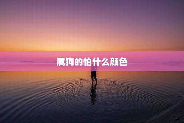属狗的怕什么颜色
