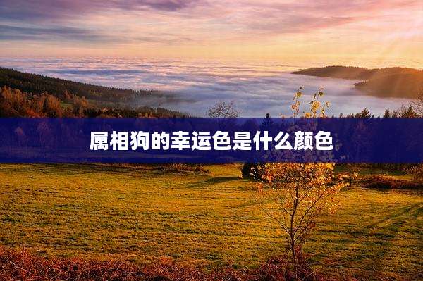 属相狗的幸运色是什么颜色
