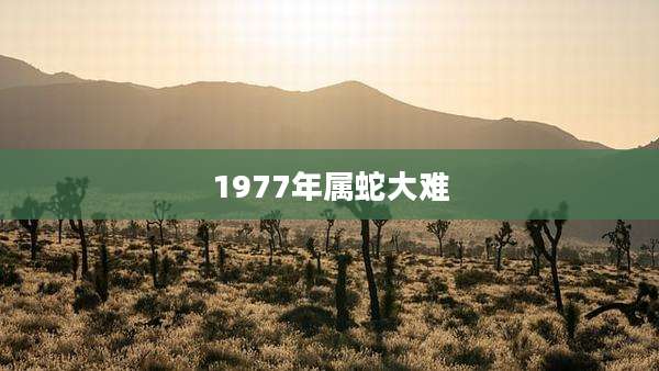 1977年属蛇大难