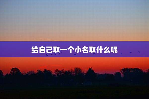 给自己取一个小名取什么呢