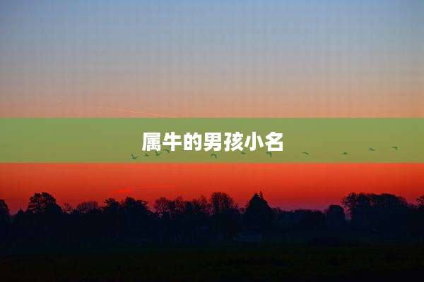 属牛的男孩小名