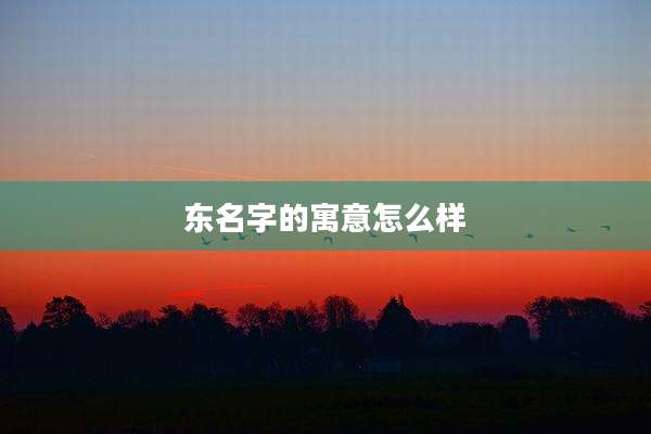 东名字的寓意怎么样