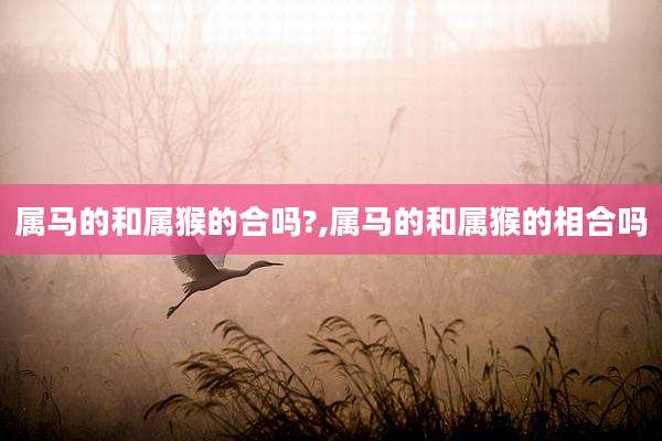 属马的和属猴的合吗?,属马的和属猴的相合吗