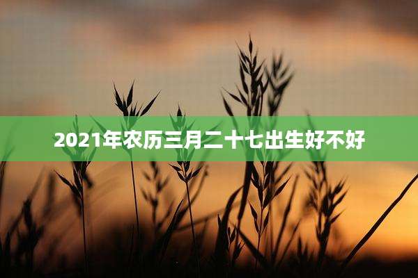 2021年农历三月二十七出生好不好