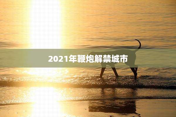 2021年鞭炮解禁城市