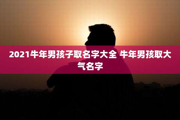 2021牛年男孩子取名字大全 牛年男孩取大气名字
