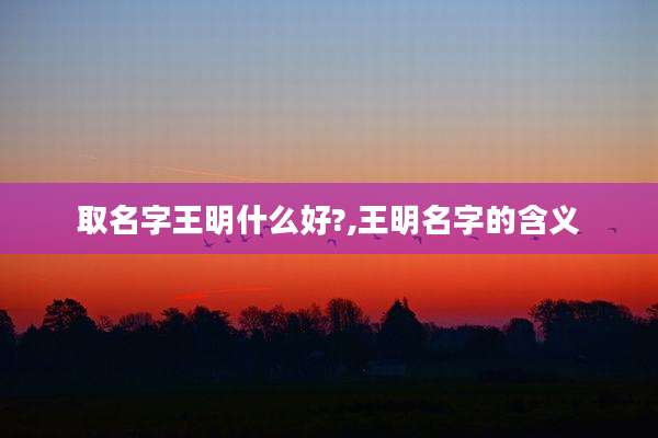 取名字王明什么好?,王明名字的含义