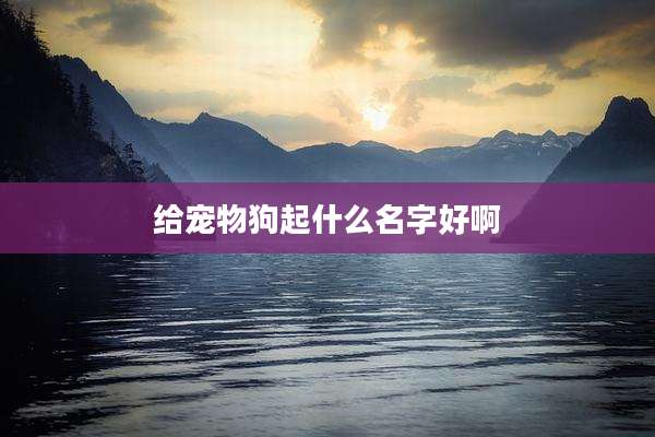 给宠物狗起什么名字好啊