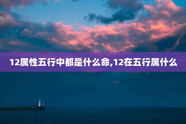 12属性五行中都是什么命,12在五行属什么