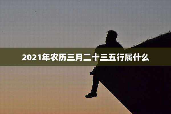 2021年农历三月二十三五行属什么