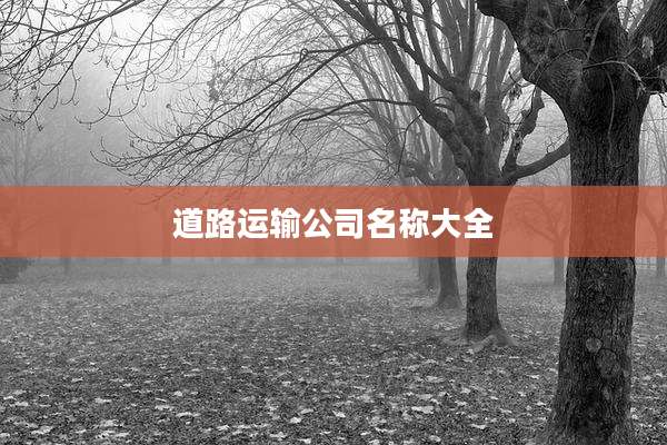 道路运输公司名称大全