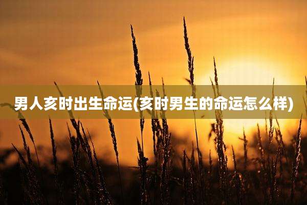 男人亥时出生命运(亥时男生的命运怎么样)