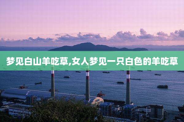 梦见白山羊吃草,女人梦见一只白色的羊吃草