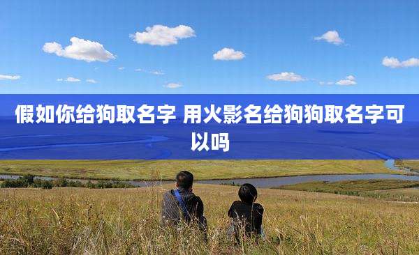 假如你给狗取名字 用火影名给狗狗取名字可以吗